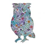 Owl Illustration by Lucky Magpies Design